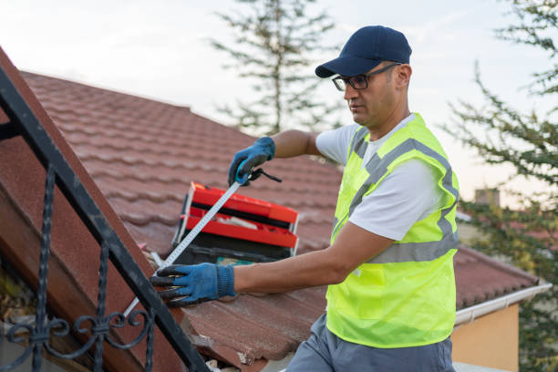 Best Basement Insulation  in Timberville, VA